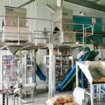 मिलेट स्वयंचलित पॅकेजिंग मशीनची दोन युनिट आमच्या क्लायंट फॅक्टरीत स्थापना आणि डीबगिंग पूर्ण करतात