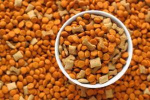 पाळीव प्राणी