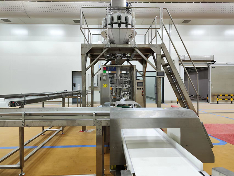 गोठलेल्या अन्नासाठी स्वयंचलित पॅकिंग मशीन.6