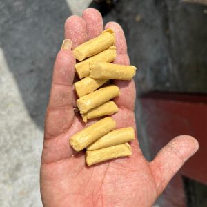 साबण नोडल